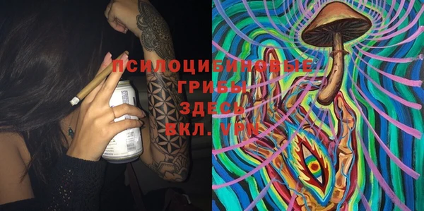 шишки Алексин