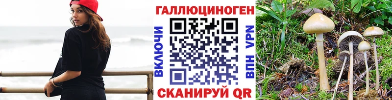 Псилоцибиновые грибы Cubensis  хочу   Батайск 
