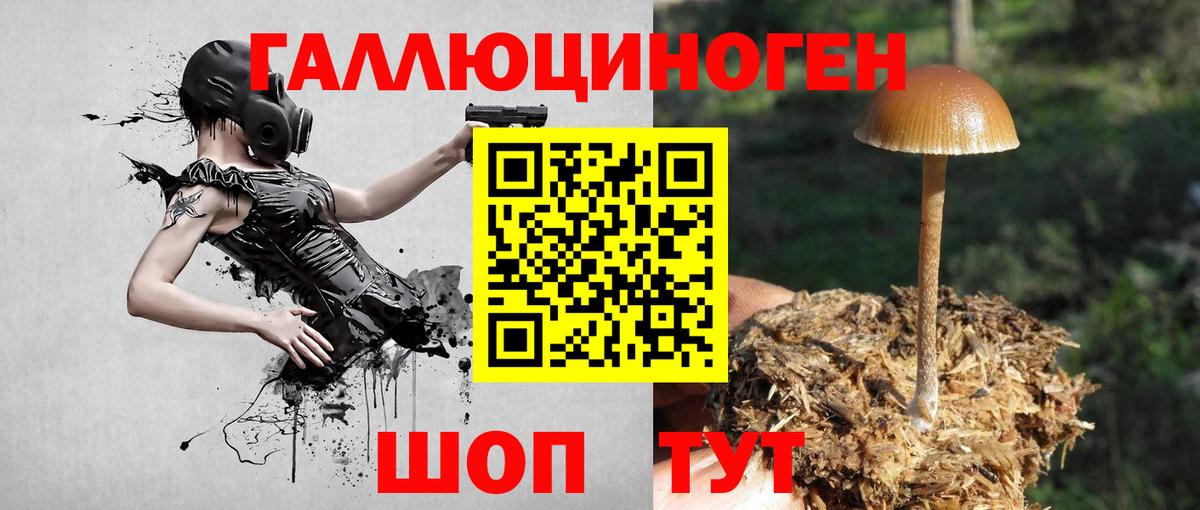 Батайск  Псилоцибиновые грибы прущие грибы  Вход с VPN 