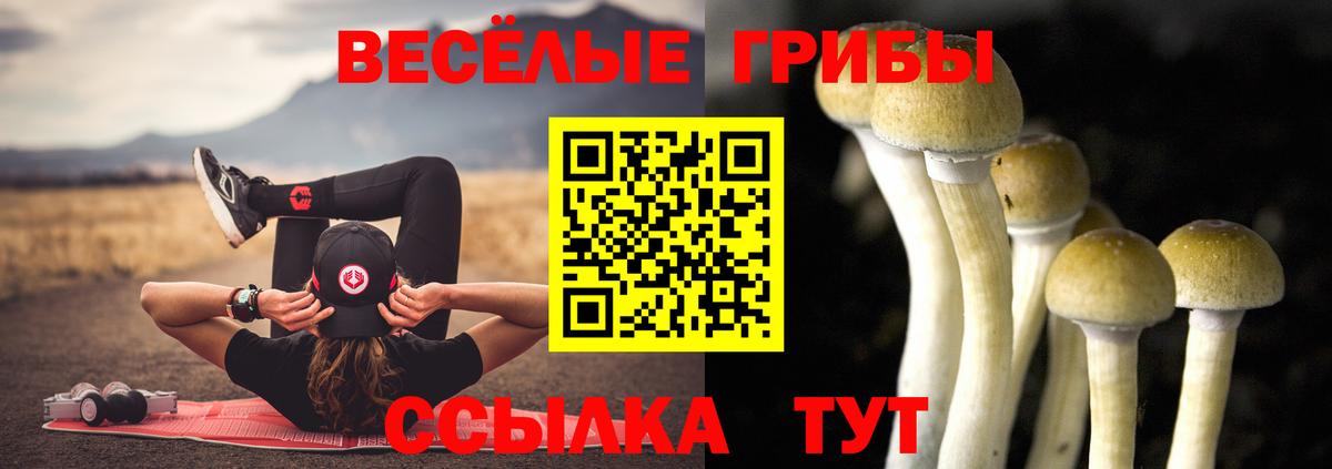 Псилоцибиновые грибы прущие грибы Батайск